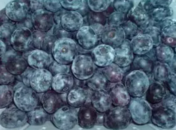 Лохина заморожена, 1 кг